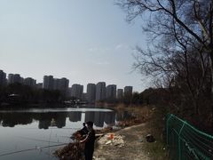 -新江湾城公园