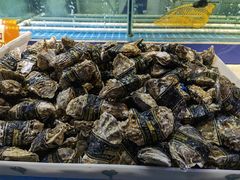 -天津金元宝滨海农产品交易市场(共发大道)