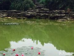 -铁山坪森林公园