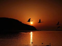 -那香海钻石沙滩浴场