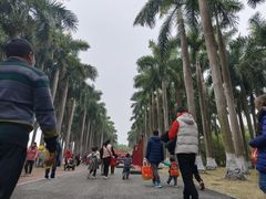 -南宁花花大世界景区