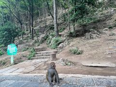 -黔灵山公园