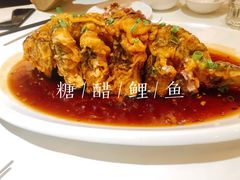 -金春禧(世茂国际广场店)