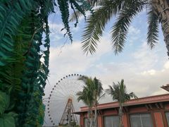 -三亚海昌梦幻海洋不夜城