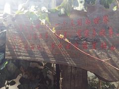 IMG_5802-慢丽江·云南野生菌土鸡锅(付家庄店)