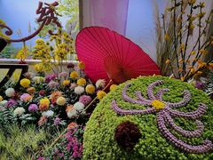 -杭州植物园