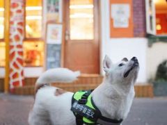 -长颈鹿咖啡(大学路店)