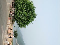 -羚羊峡古栈道森林公园