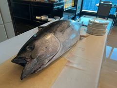 -Social 秀西餐厅-长沙瑞吉酒店(运达店)