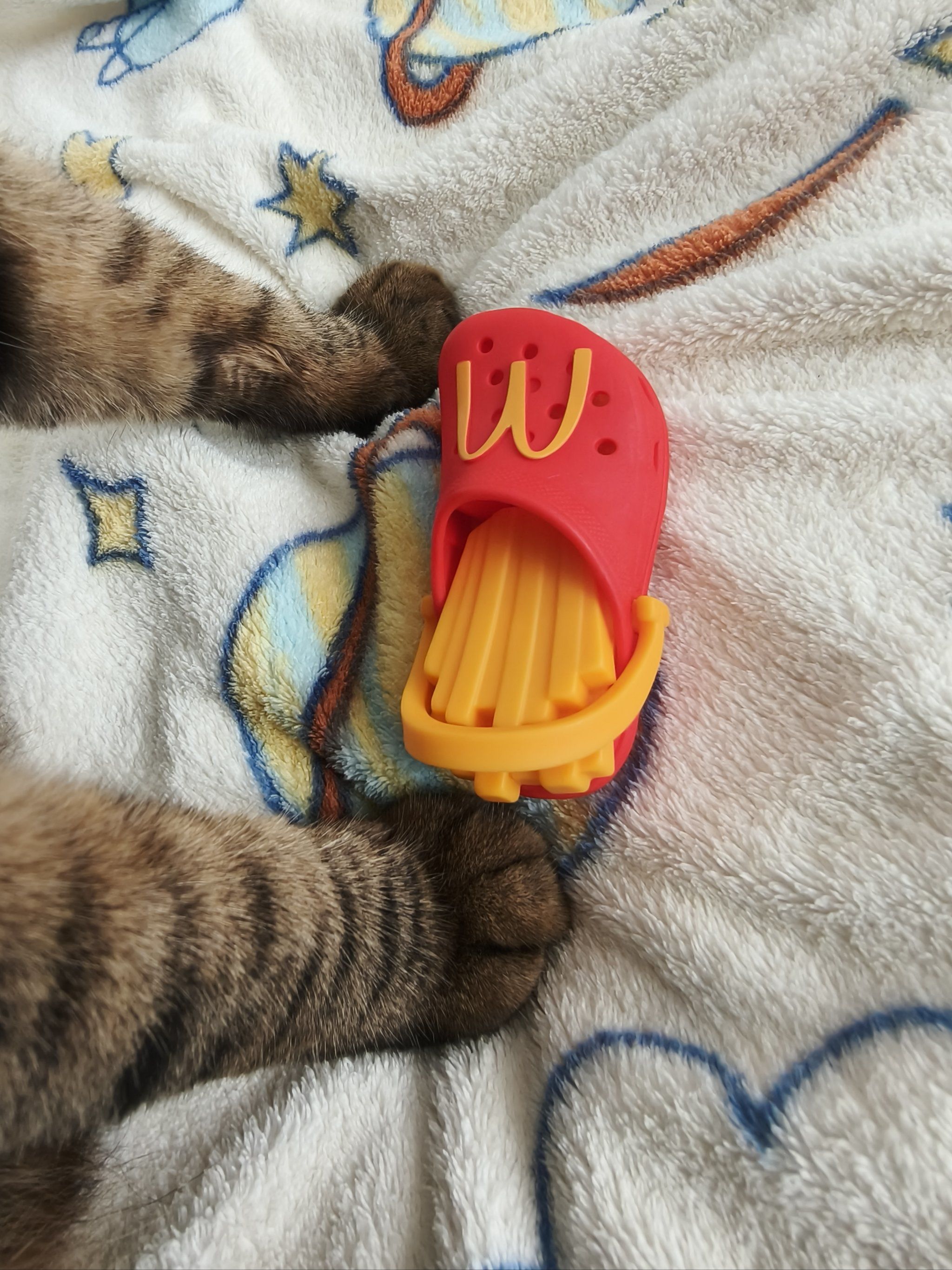 麦当劳联名cros洞洞鞋,猫猫穿有点小了