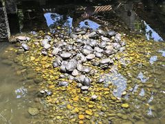 -南岳大庙