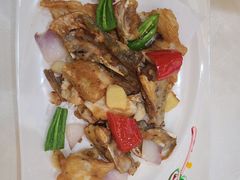 -有腥气私房菜·寻味顺德