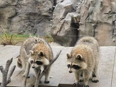 -上海野生动物园