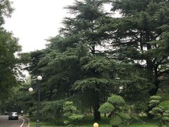 -南郊宾馆·风味自助餐厅·山东十六地市特色菜