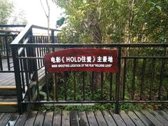-呀诺达热带雨林