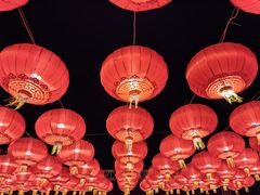 -北京世界公园