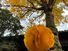 -惠山古镇·寄畅园