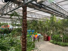 -南宫五洲植物乐园