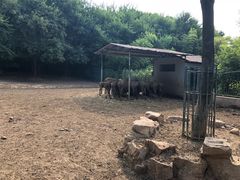 -无锡动物园·太湖欢乐园