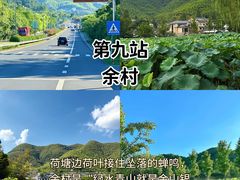 -阿露佳·舌尖上的安吉菜