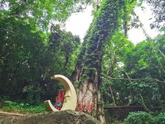 -七仙岭温泉国家森林公园