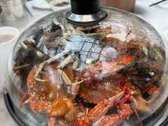 -半岛听涛蒸汽海鲜自助(K11店)
