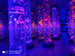 -梦幻海洋王国(吾悦广场张家港店)
