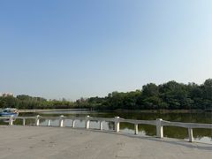 -塘沽森林公园