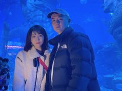 -哈尔滨波塞冬海底世界