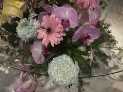 -浅深Cheersum(曹杨店)