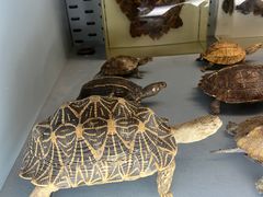 -浙江自然博物院(杭州馆)