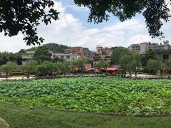 -滴水岩森林公园