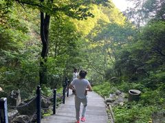 -王顺山国家森林公园