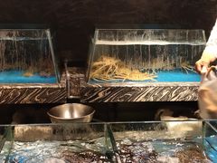 水产区-得尔乐大酒店(南塘店)