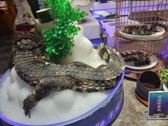 -丰卓会海鲜自助(中润大道店)