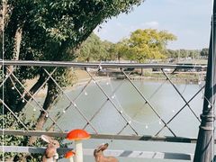 -水岸居湖景农家乐·阳澄湖大闸蟹