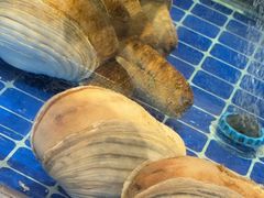 -百富源·海鲜辽菜(浑河堡店)