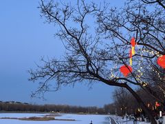 -TESLA 特斯拉(北京后沙峪特斯拉中心)