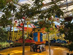 -南宫五洲植物乐园