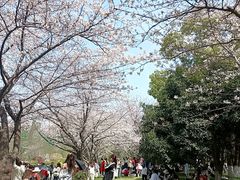 -堤角公园