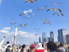 -东港音乐喷泉广场