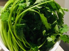 香菜-千味涮·健康火锅(会展连城新天地店)