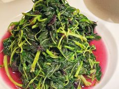 -吴越荣记苏州菜·松鼠桂鱼 100% 活鱼现做(月光码头店)