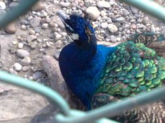 -南京金牛湖风景区