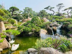 -罗红摄影艺术馆