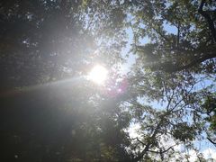 -崂山九水游览区
