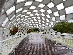 -同里国家湿地公园