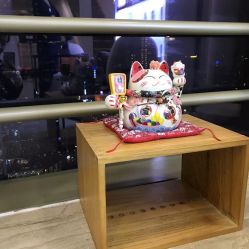 -JNK皮肤管理中心