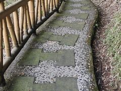 -沐川竹海旅游景区