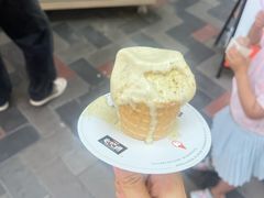 -野人先生现做冰淇淋(北京顺义祥云小镇店)